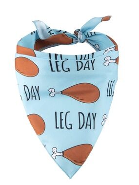 NWT NativePup 'Leg Day' and Turkey Blue Bandana Puppy Dog Scarf - Large